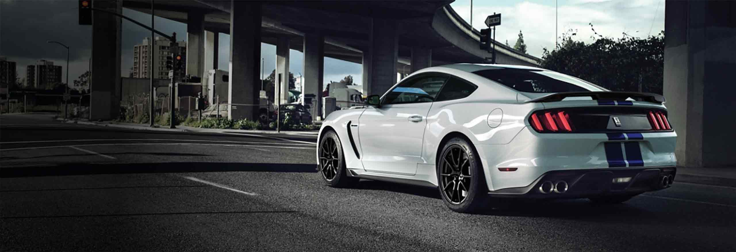 Develop Lasting Relationships<br/>with your Customers